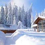 Und Berggasthof Tanzbuche ホテル フリードリッヒローダ