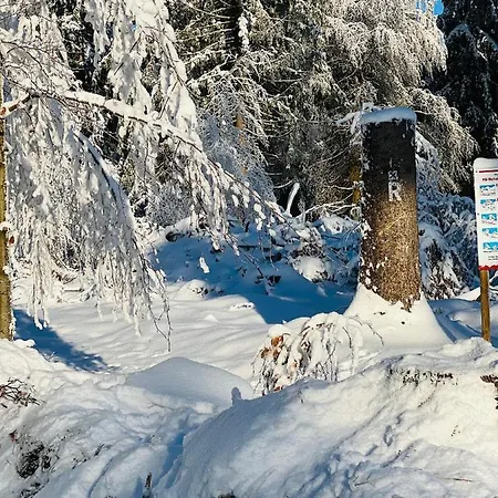 Und Berggasthof Tanzbuche 2*