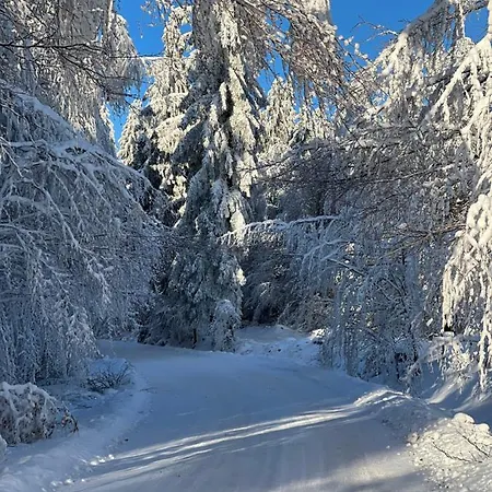 Und Berggasthof Tanzbuche 2* Friedrichroda