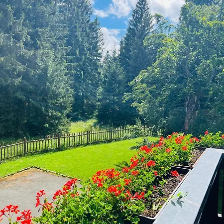 Und Berggasthof Tanzbuche Фридрихрода