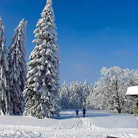 Und Berggasthof Tanzbuche Ξενοδοχείο 2*