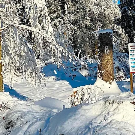 Und Berggasthof Tanzbuche 2* Friedrichroda
