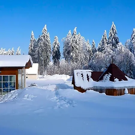 Hotel Und Berggasthof Tanzbuche 2*