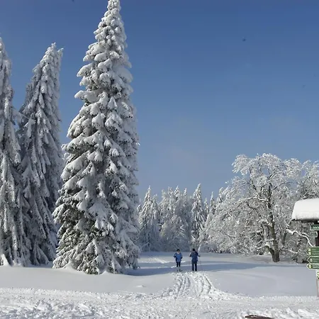 Und Berggasthof Tanzbuche Отель 2*