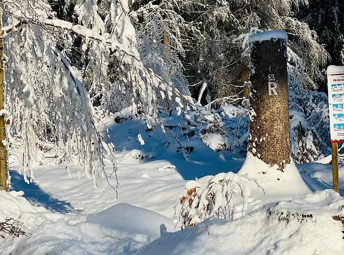 Und Berggasthof Tanzbuche 2*