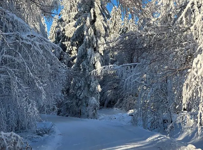 Und Berggasthof Tanzbuche 2* Friedrichroda