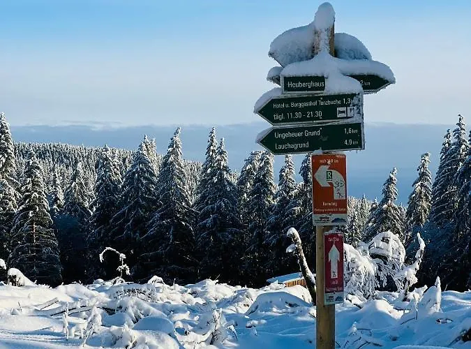 Und Berggasthof Tanzbuche Otel Friedrichroda