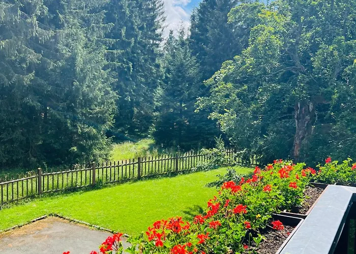 Und Berggasthof Tanzbuche Friedrichroda