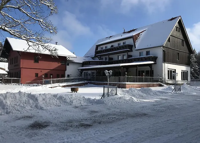 Hotel Und Berggasthof Tanzbuche 2*