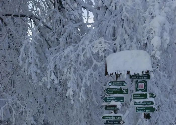 Und Berggasthof Tanzbuche Friedrichroda