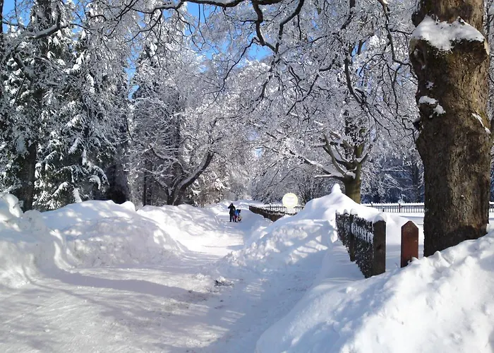 Und Berggasthof Tanzbuche 2*
