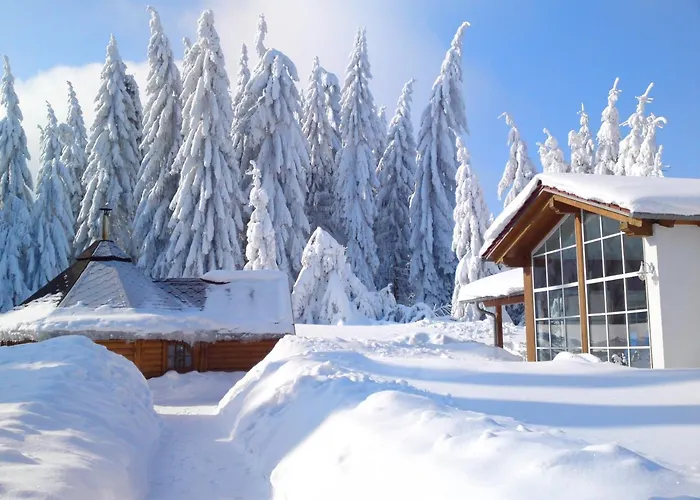 Und Berggasthof Tanzbuche Otel Friedrichroda